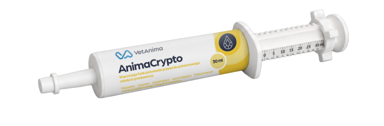 AnimaCrypto - wizualizacja - 01